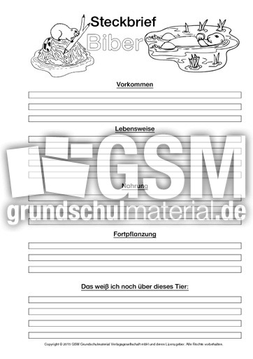 Biber-Steckbriefvorlage-sw-2.pdf